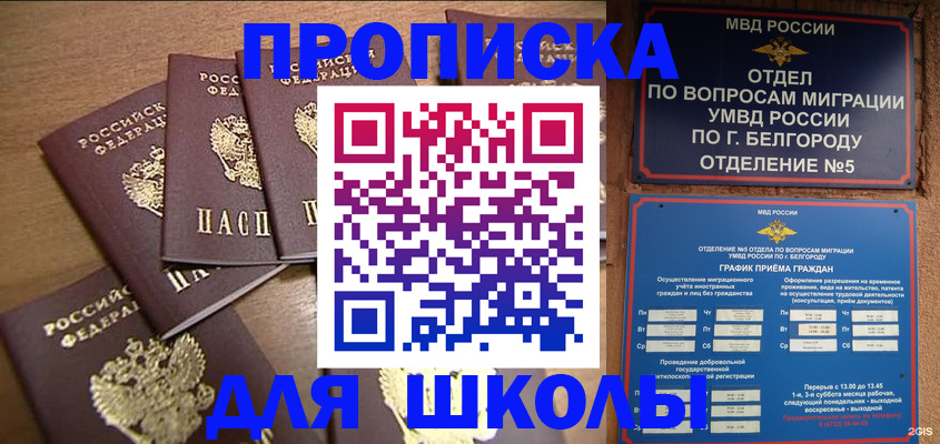 прописка гарантия в Ногинске